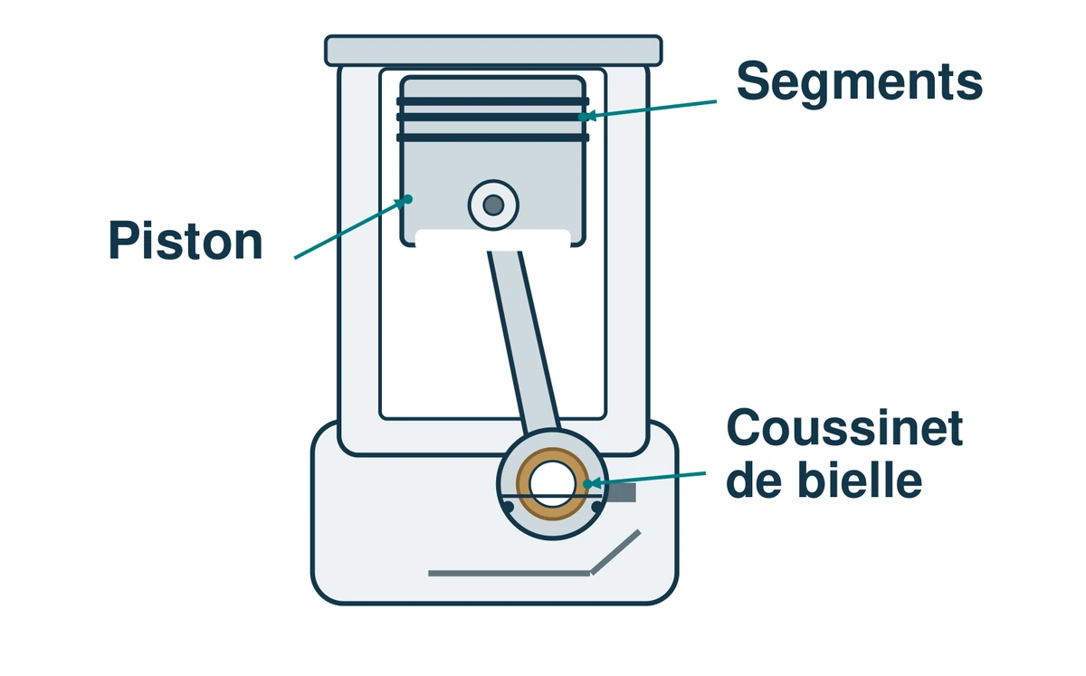 Schéma simplifié montrant les segments du piston et un coussinet de bielle